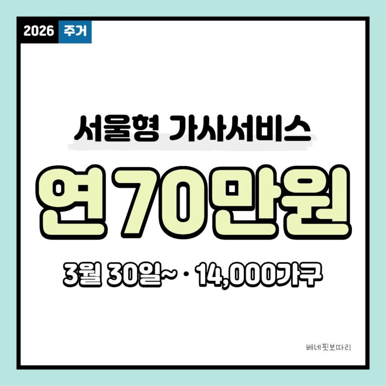 서울형 가사서비스 바우처 지원 가정 집안일 경감 혜택