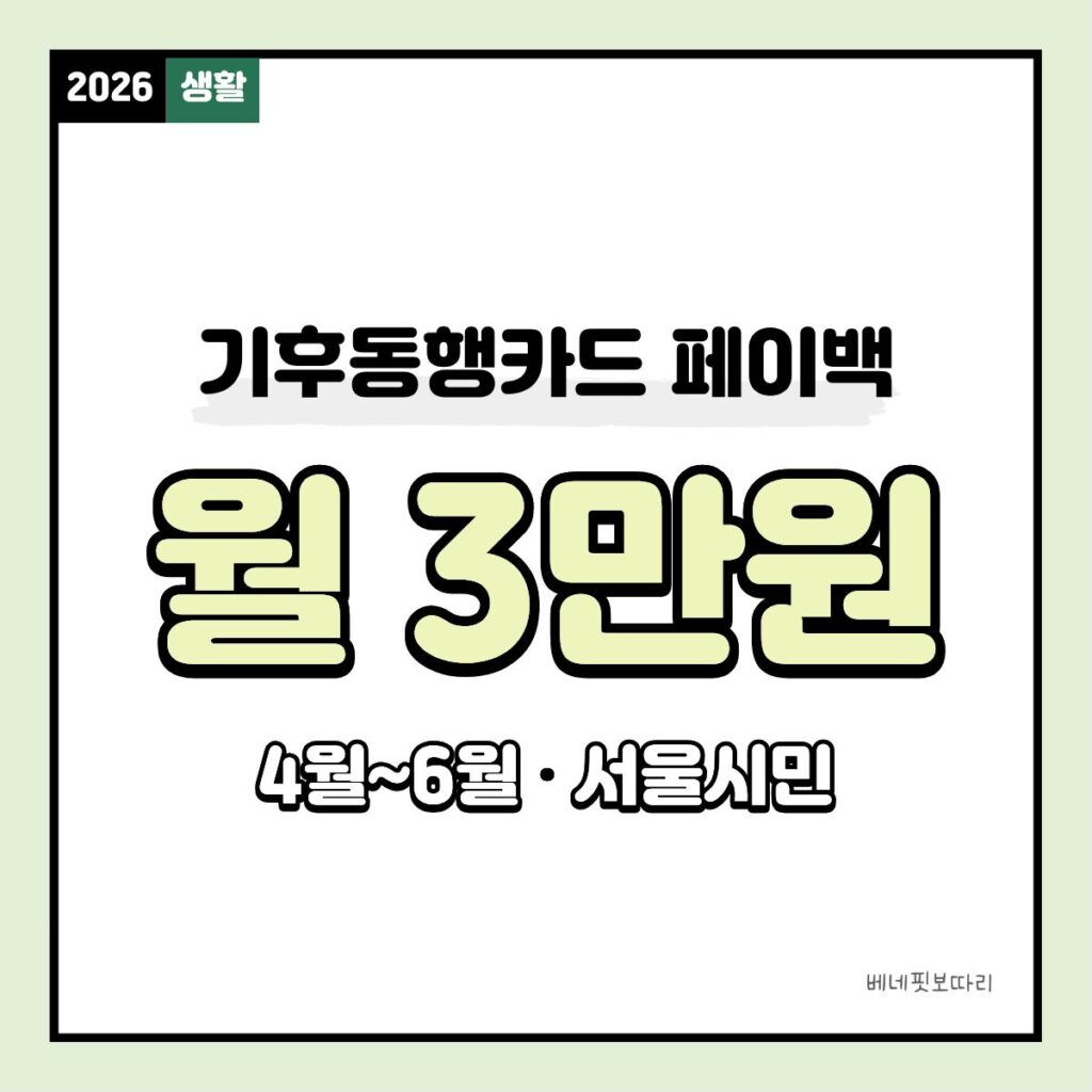 기후동행카드 페이백 월3만원 혜택 서울시민 교통비 절감 정책