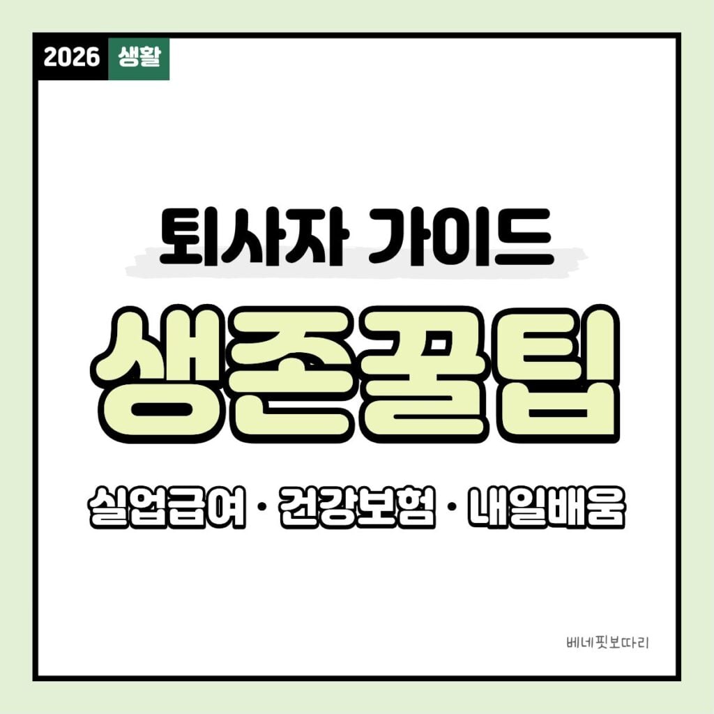 퇴사 후 챙겨야 할 지원금 3가지: 실업급여, 건강보험, 내일배움카드 정리