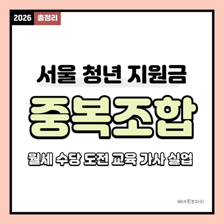 서울 청년 지원금 6가지 중복 수혜 조합 가이드 2026